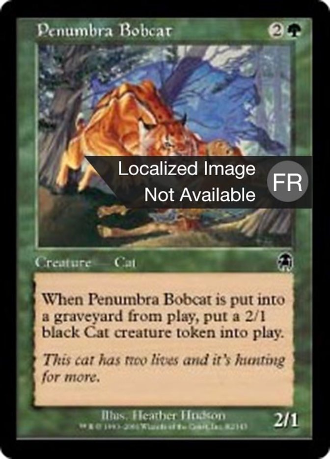 Lynx de la pénombre