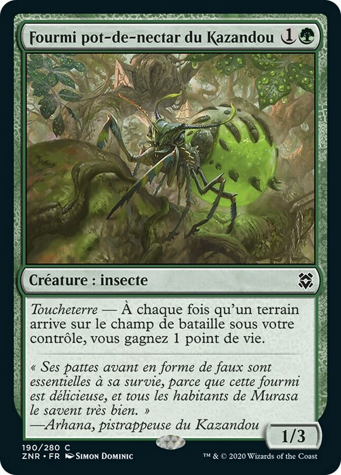 Fourmi pot-de-nectar du Kazandou