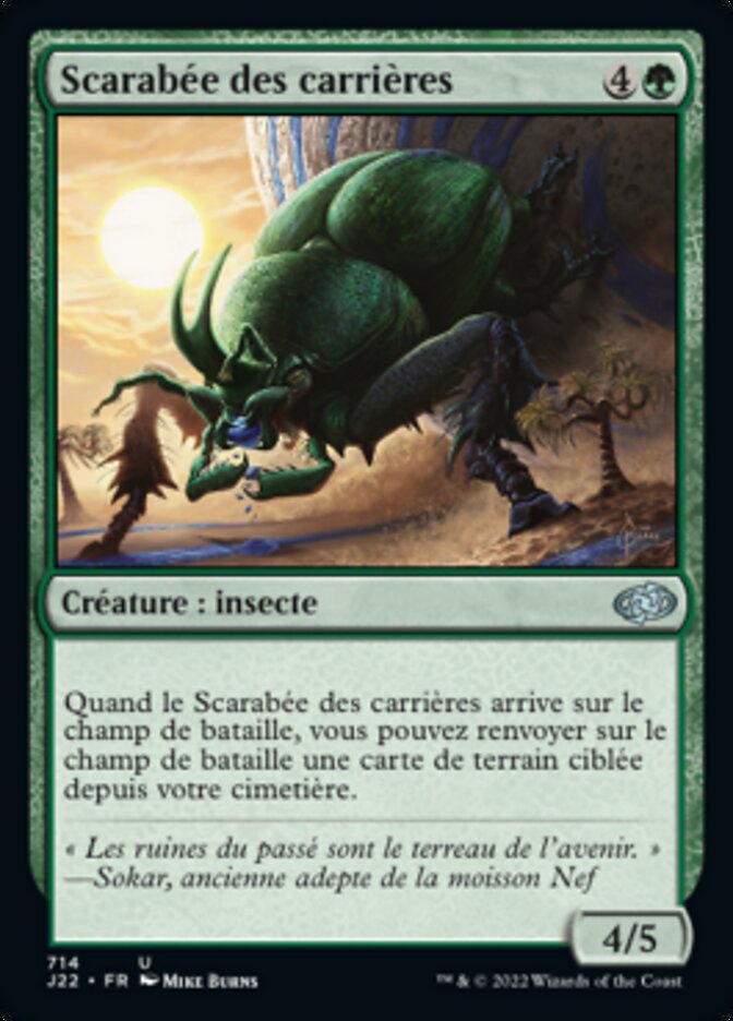 Scarabée des carrières