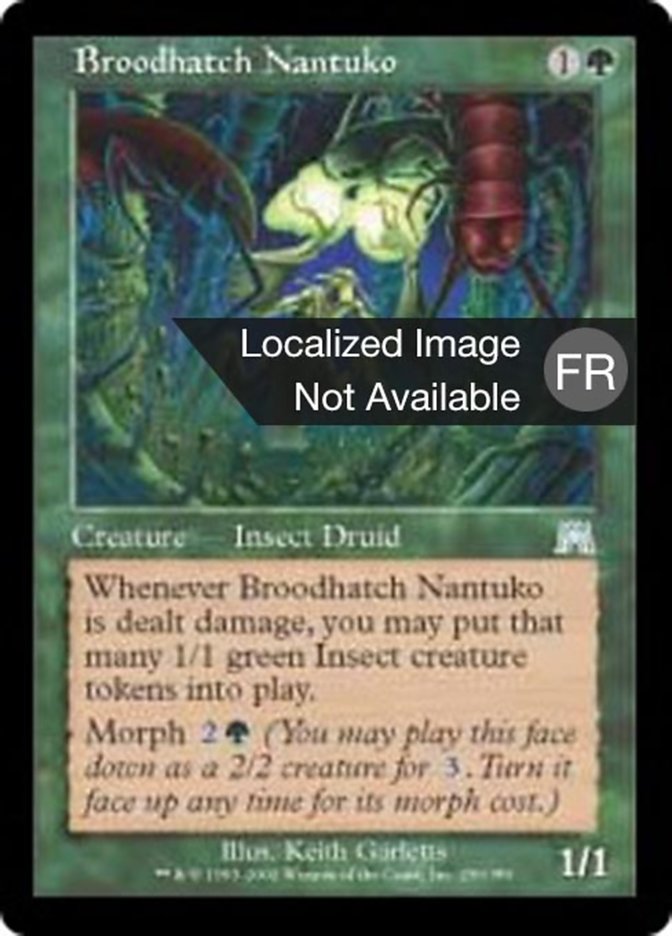 Nantuko de la couvée