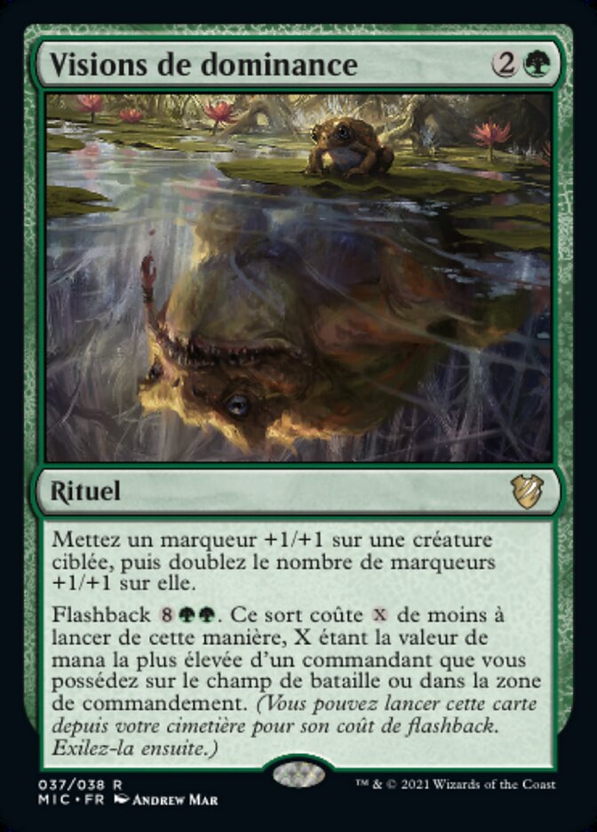 Visions de dominance