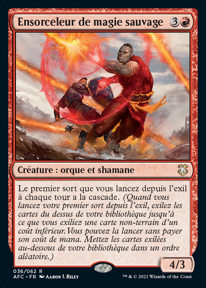 Ensorceleur de magie sauvage