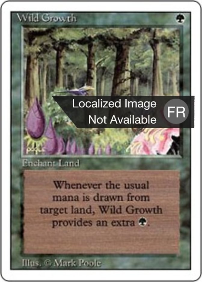 Végétation luxuriante