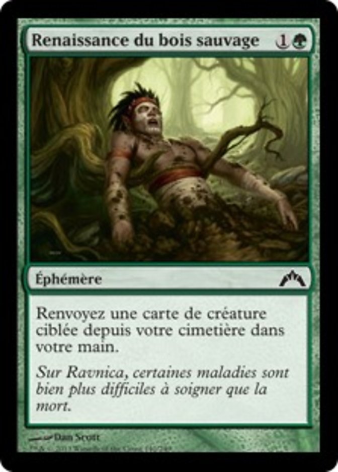 Renaissance du bois sauvage