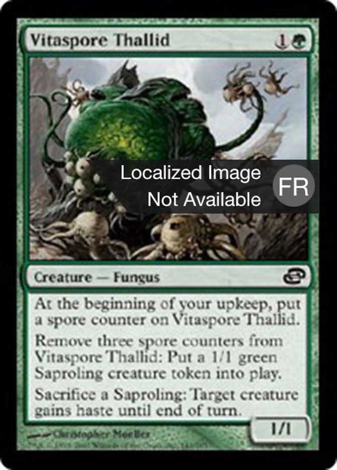 Thallidé vitaspore