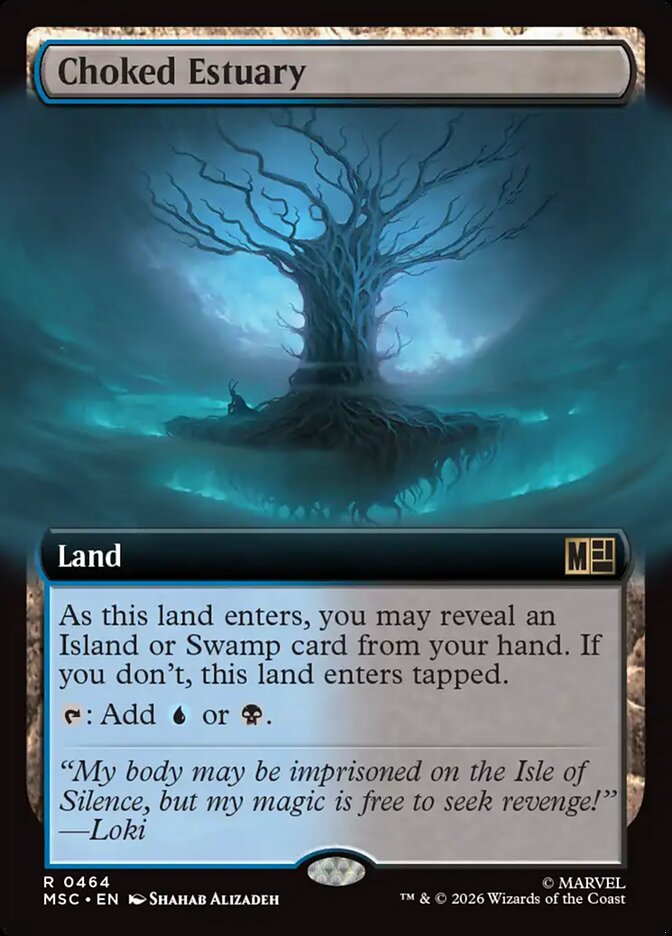 Choked Estuary