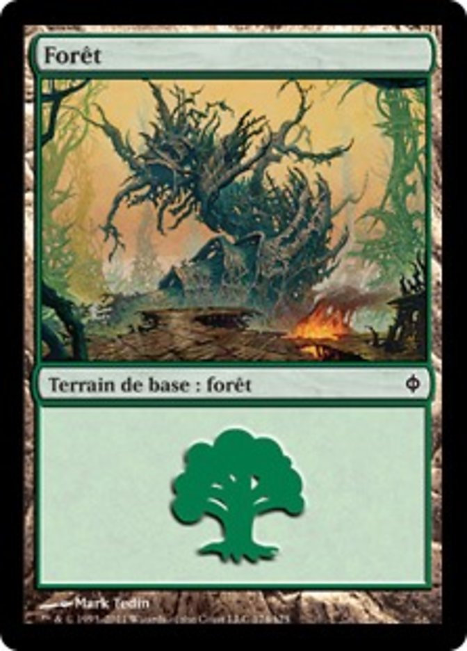 Forêt