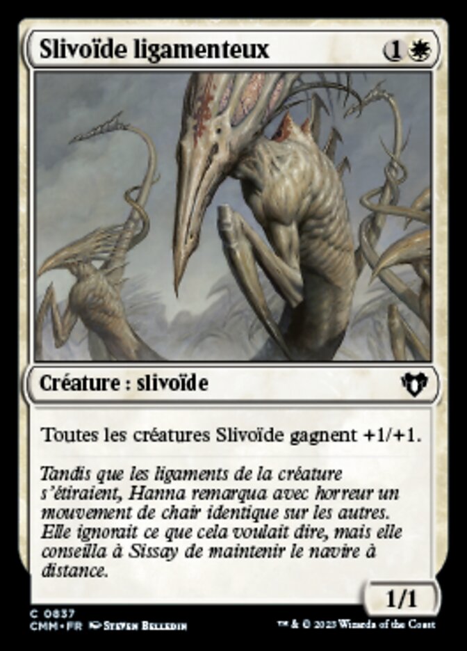 Slivoïde ligamenteux