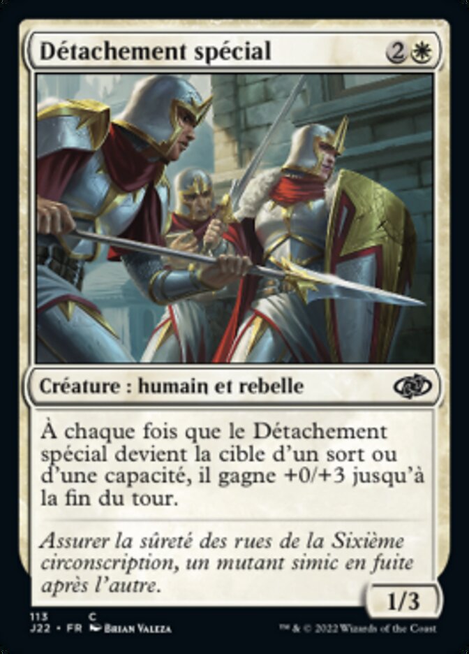 Détachement spécial