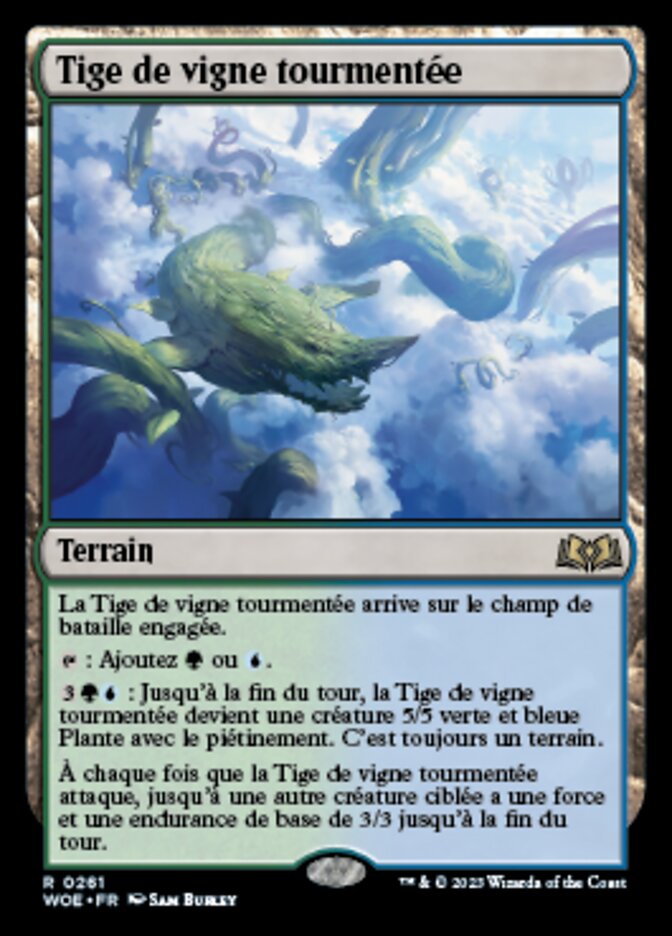 Tige de vigne tourmentée