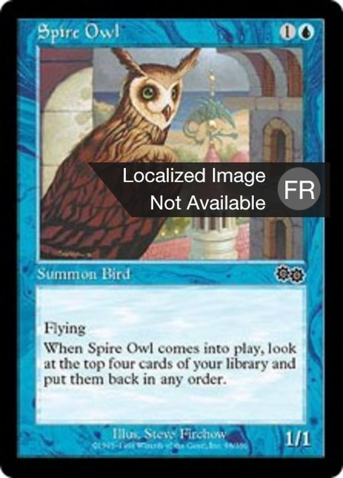 Hibou des clochers