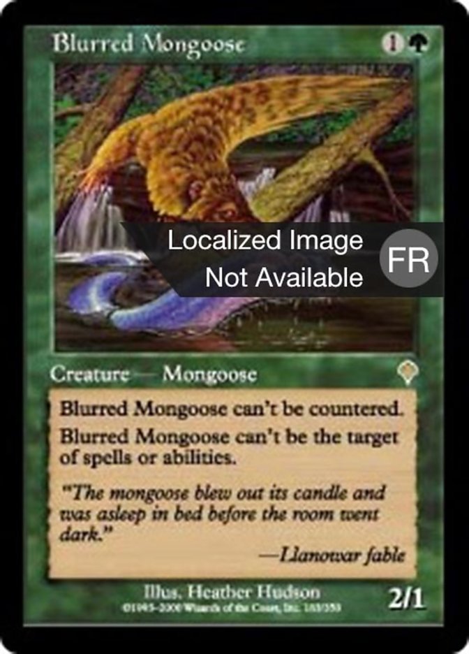 Mangouste floue