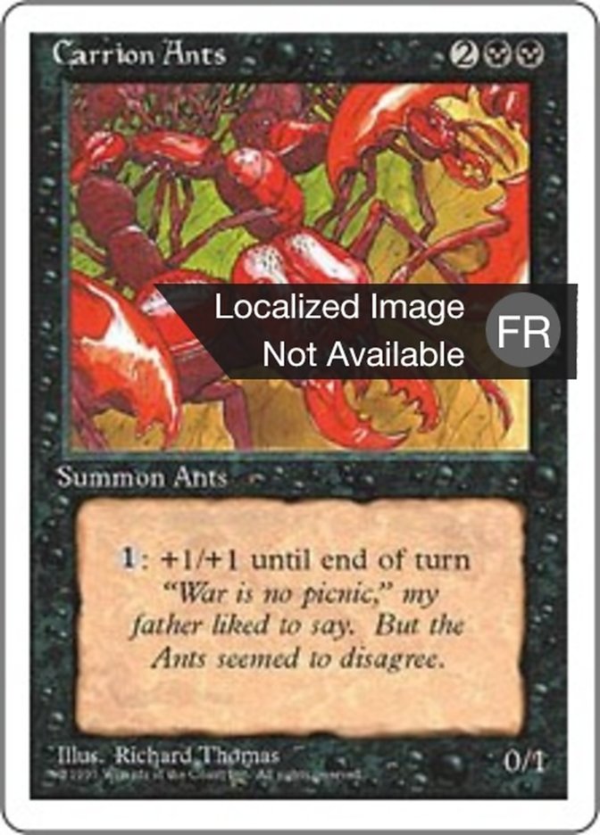 Fourmis charognardes