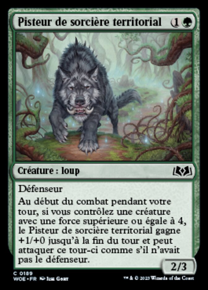 Pisteur de sorcière territorial