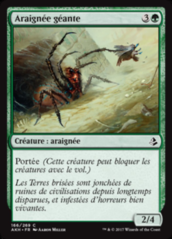Araignée géante