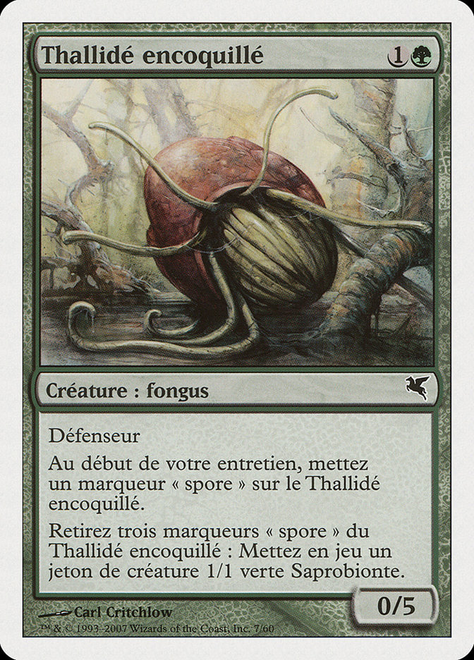 Thallidé encoquillé