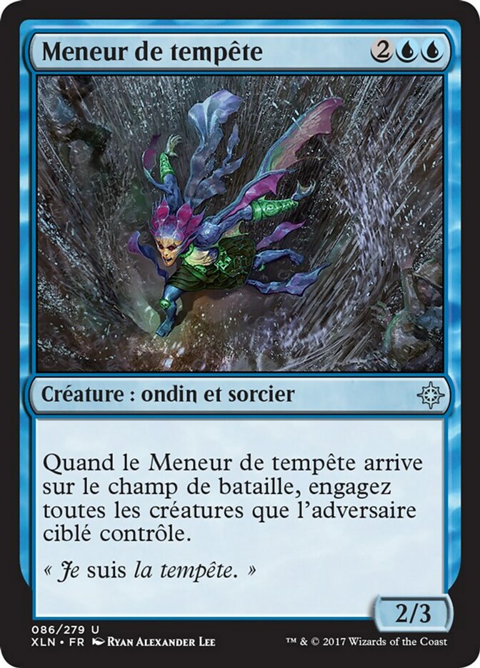 Meneur de tempête