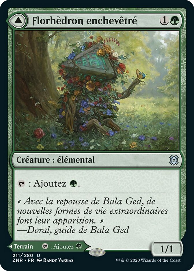 Florhèdron enchevêtré