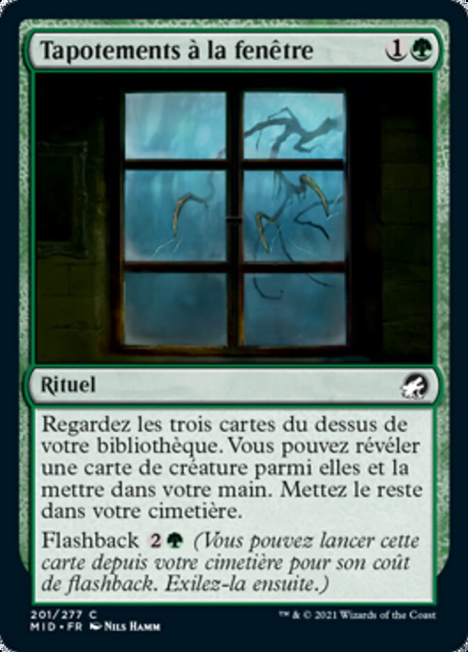 Tapotements à la fenêtre