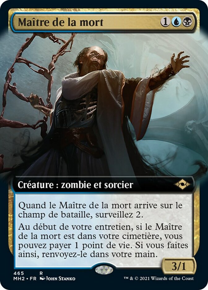 Maître de la mort