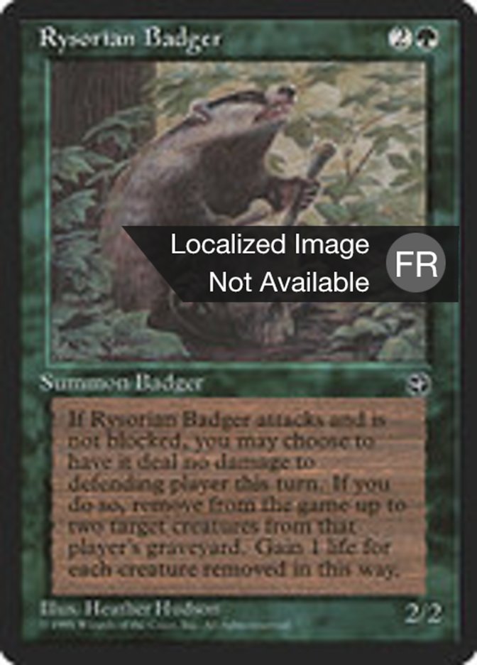 Blaireau rhizorien