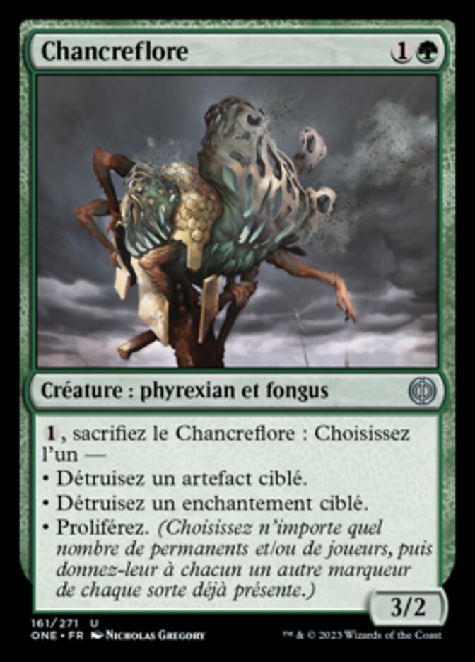 Chancreflore