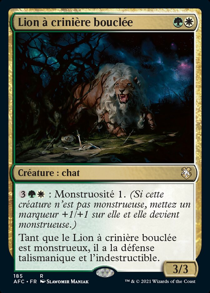 Lion à crinière bouclée