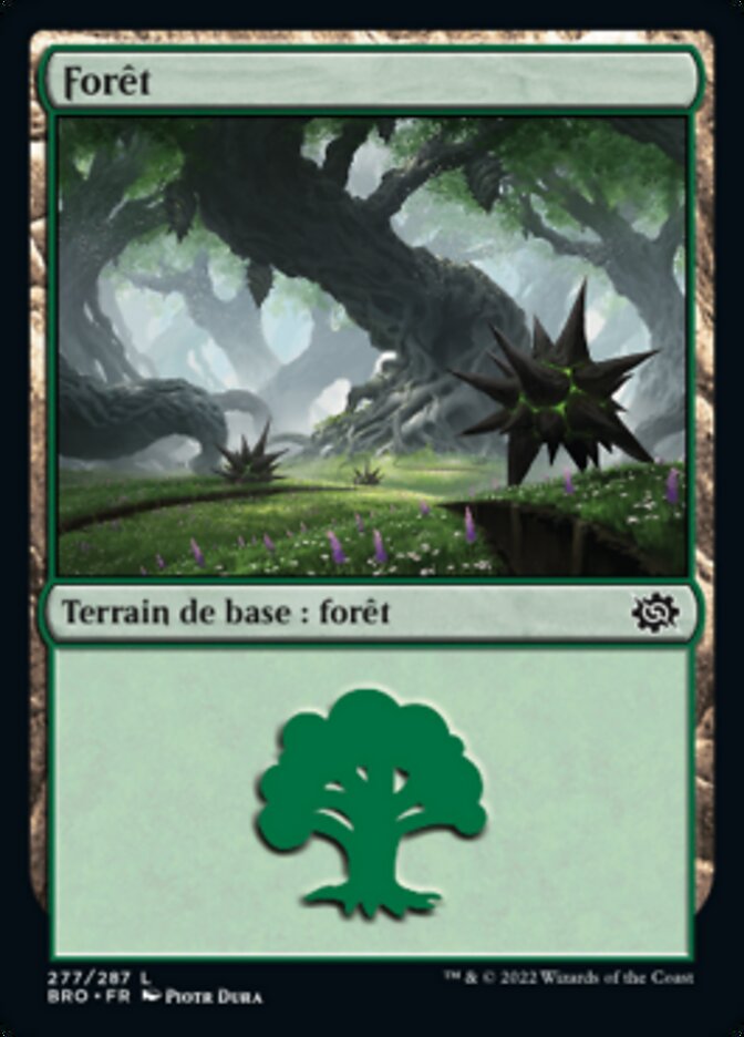 Forêt