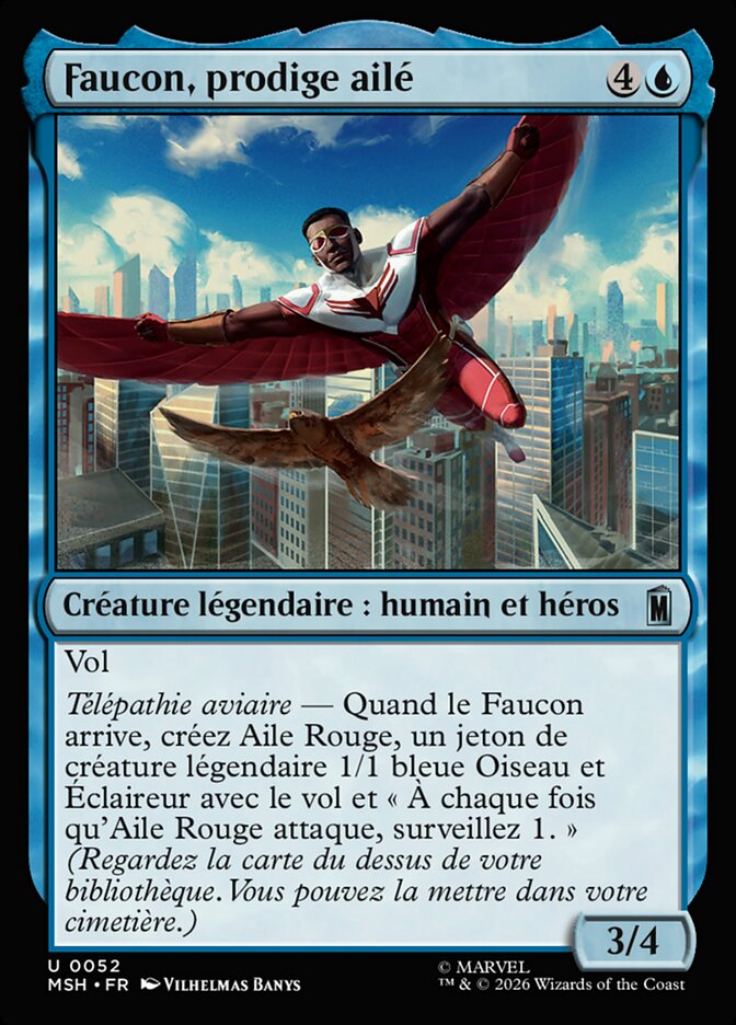 Faucon, prodige ailé