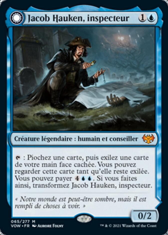 Jacob Hauken, inspecteur