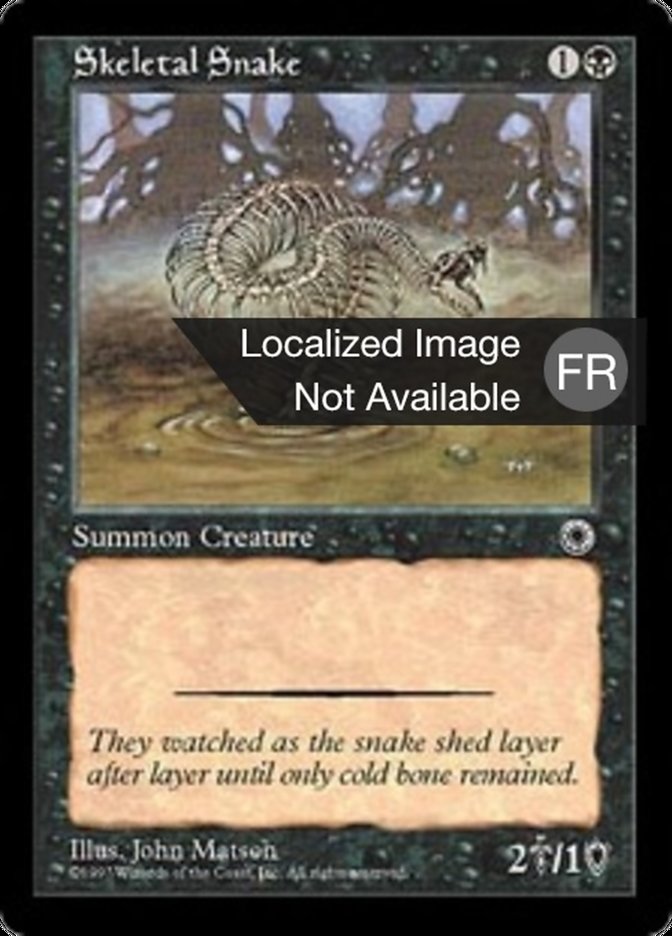 Serpent squelette