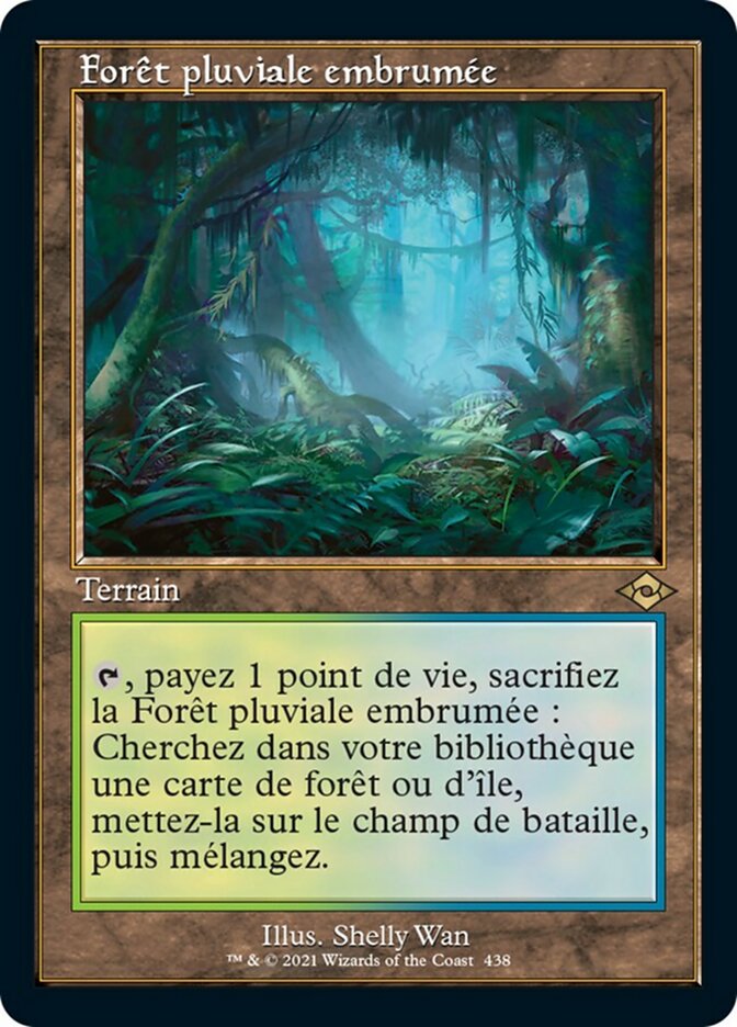 Forêt pluviale embrumée
