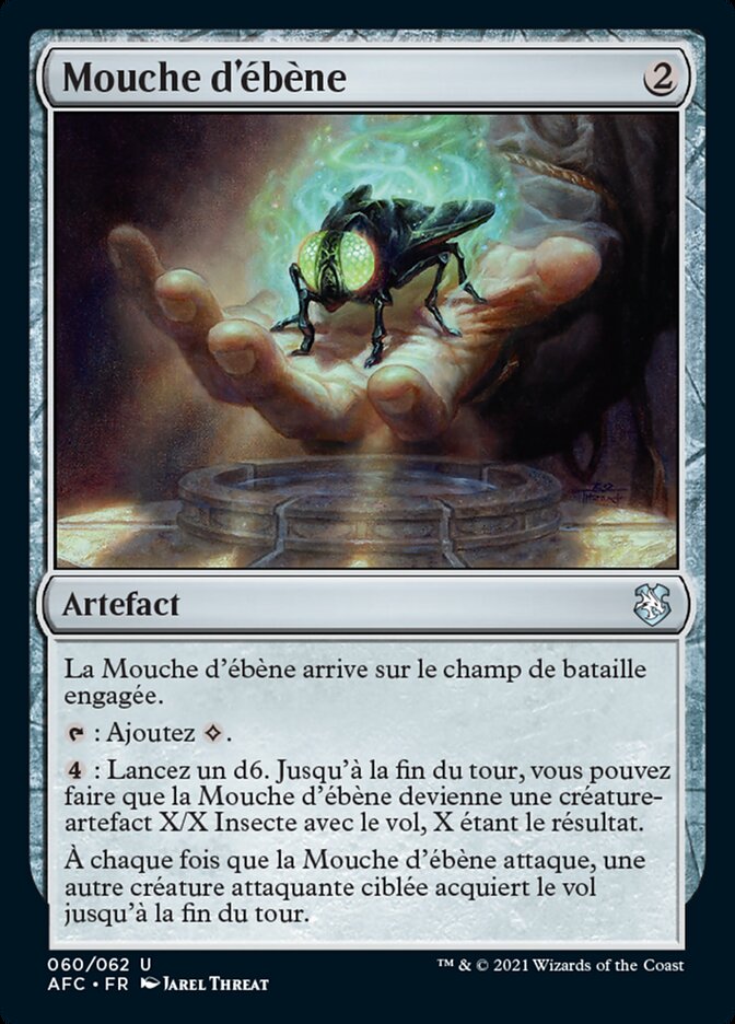 Mouche d'ébène