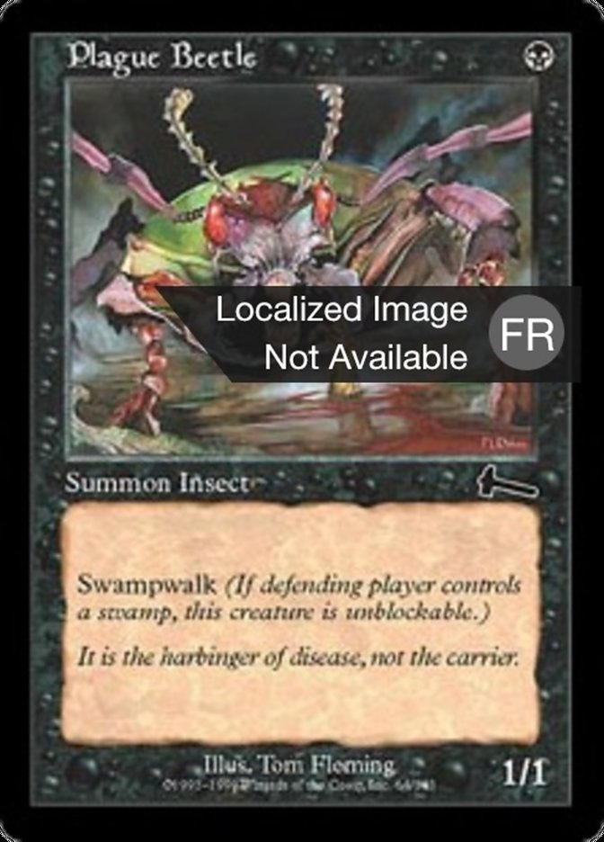 Scarabée de la Peste