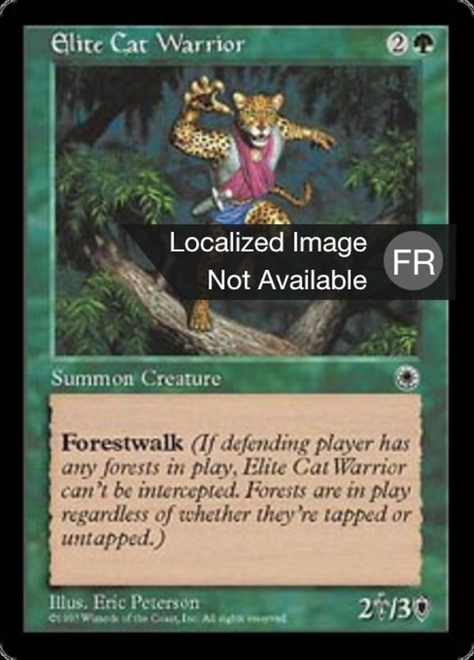 Guerrier chat d'élite