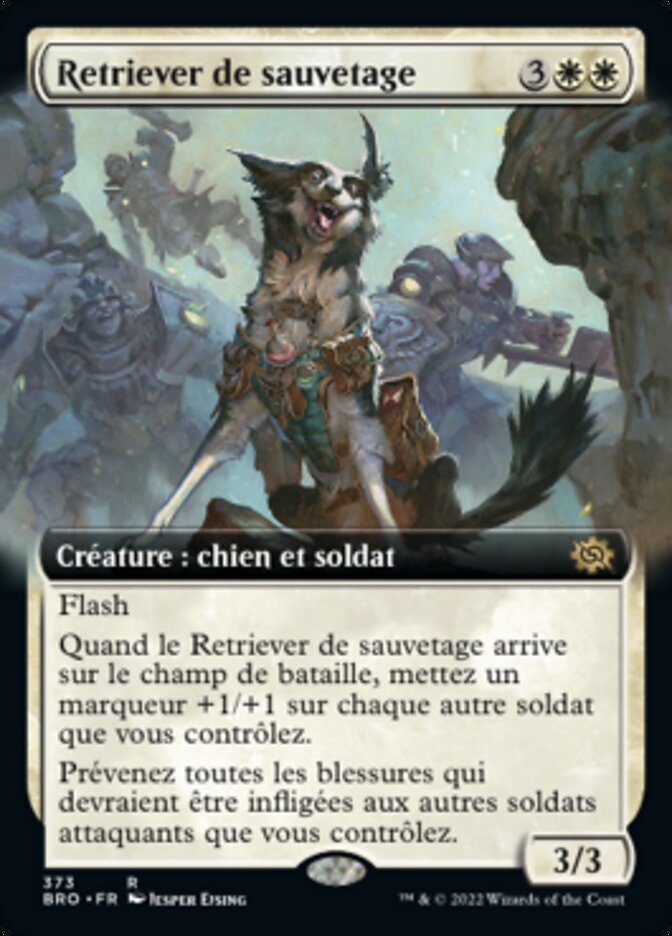 Retriever de sauvetage