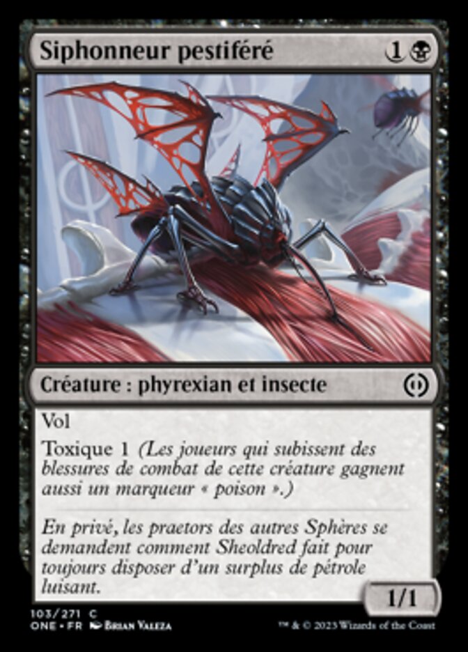 Siphonneur pestiféré