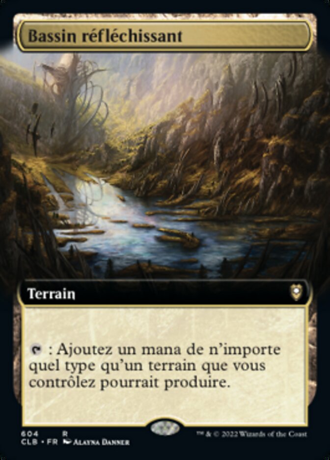 Bassin réfléchissant