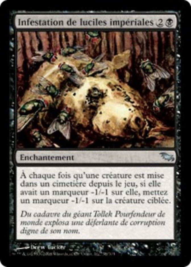 Infestation de luciles impériales