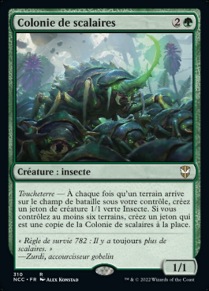 Colonie de scalaires