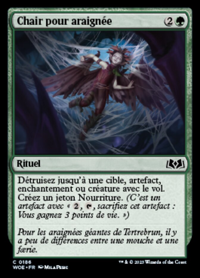 Chair pour araignée