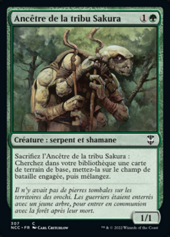 Ancêtre de la tribu Sakura