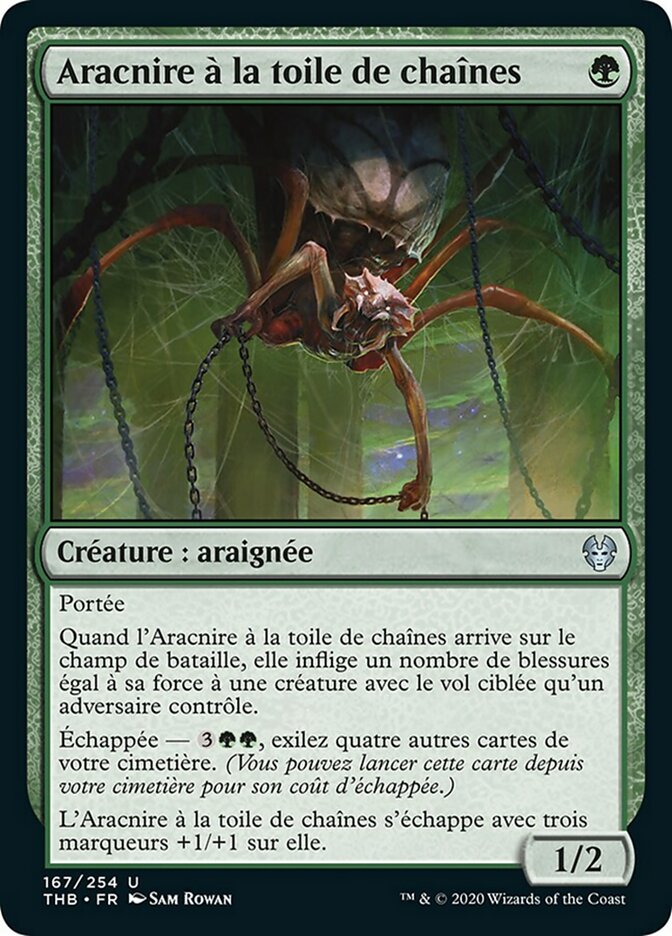 Aracnire à la toile de chaînes