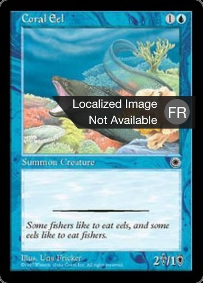 Anguille des coraux