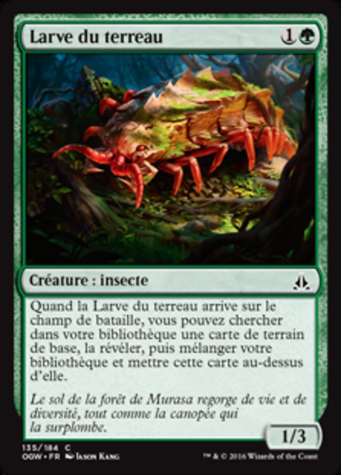 Larve du terreau