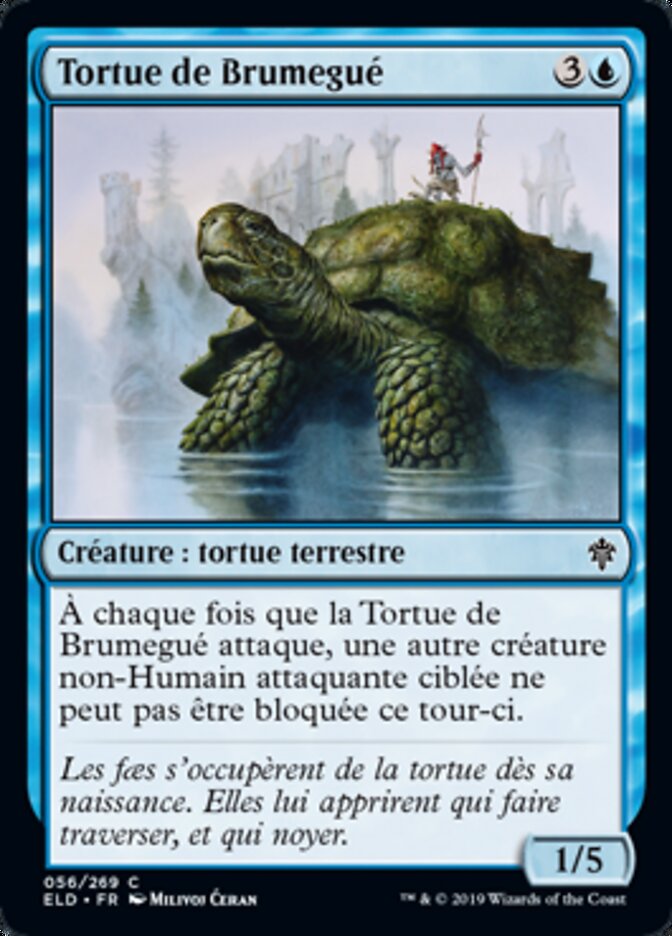 Tortue de Brumegué