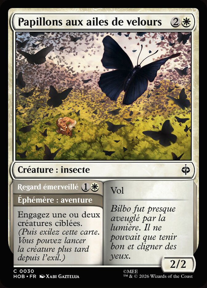 Papillons aux ailes de velours