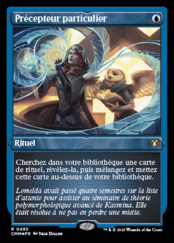 Précepteur particulier