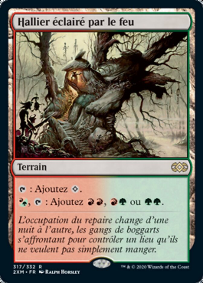 Hallier éclairé par le feu