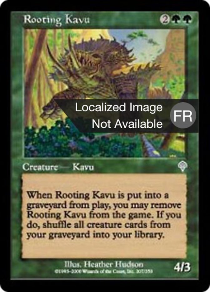 Kavru enracineur